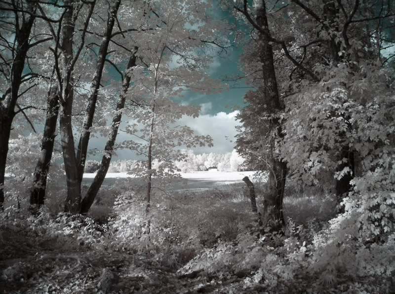 Blick in Richtung Haidberg