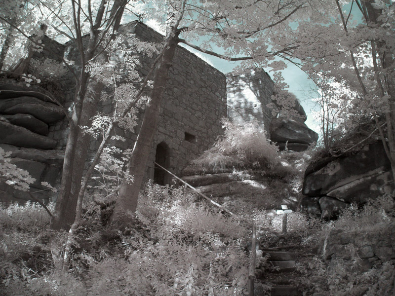 Das Infrarote Schlo&szlig;